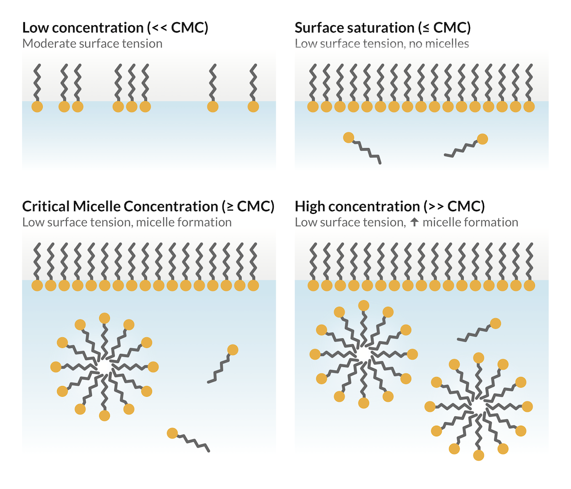 Dispersa “Breaking Down” Surfactants What they are, how they work